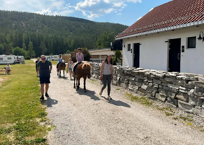 Hegna Seljord